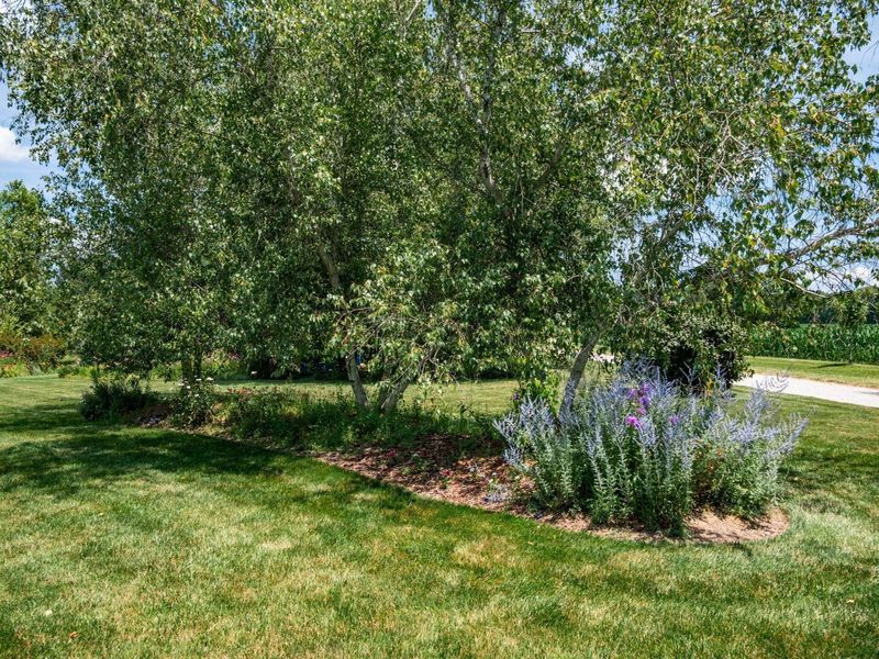 21710 N Darby Coe Road, Milford Center, OH 43045 Photo 67