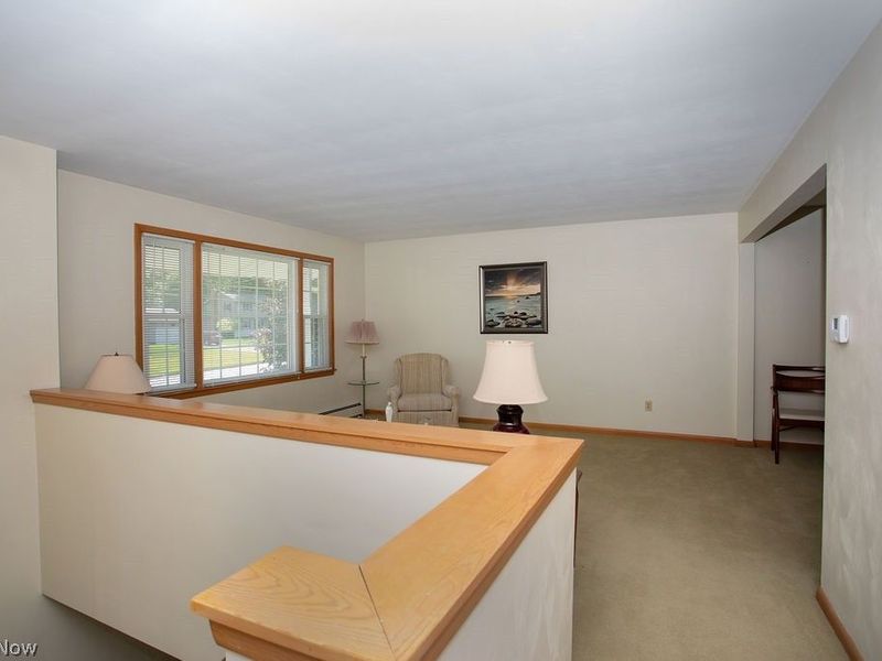 3937 S Schenley Avenue, Youngstown, OH 44511 Photo 17