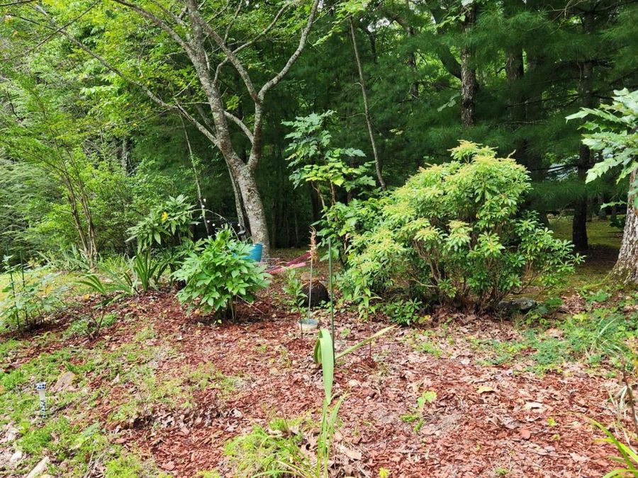 Property Image 46