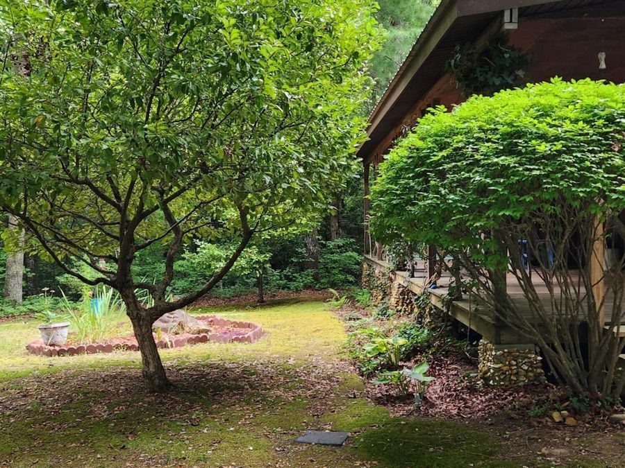 Property Image 48