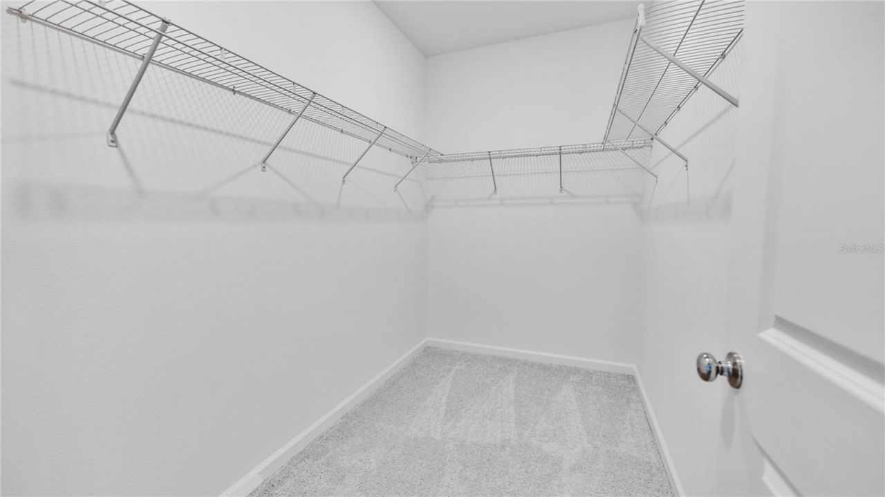 2136 Rider Rain Lane , Apopka, FL 32703 Photo