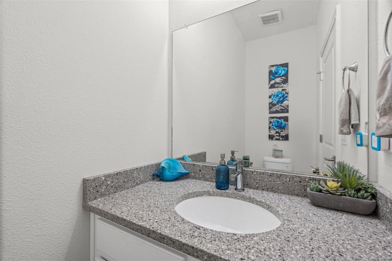 4327 Reisswood Loop , Palmetto, FL 34221 Photo