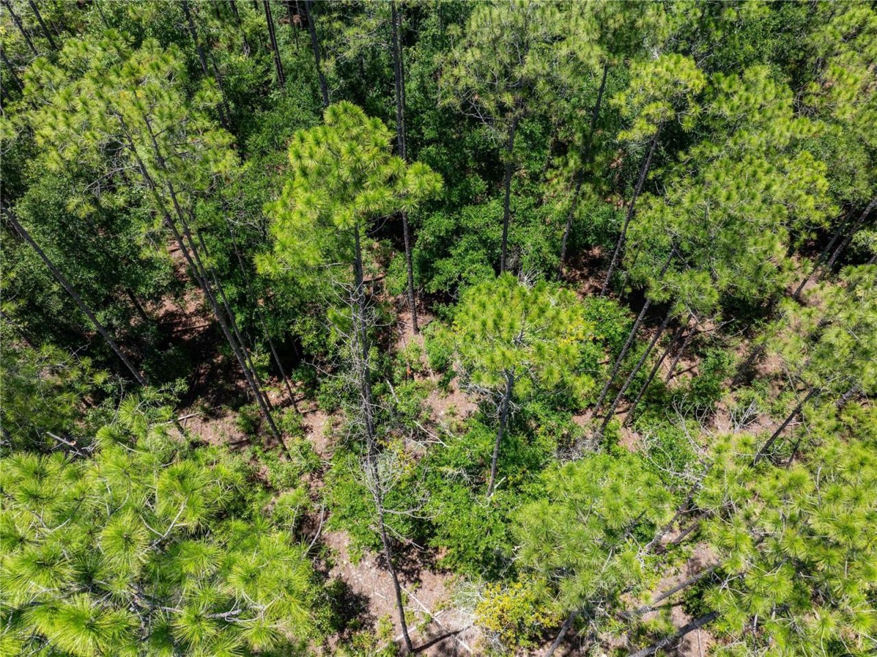 0 71st Lane, O Brien, FL 32071 Photo