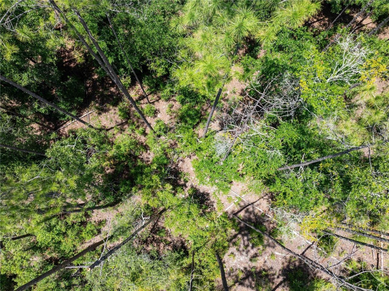 0 71st Lane, O Brien, FL 32071 Photo