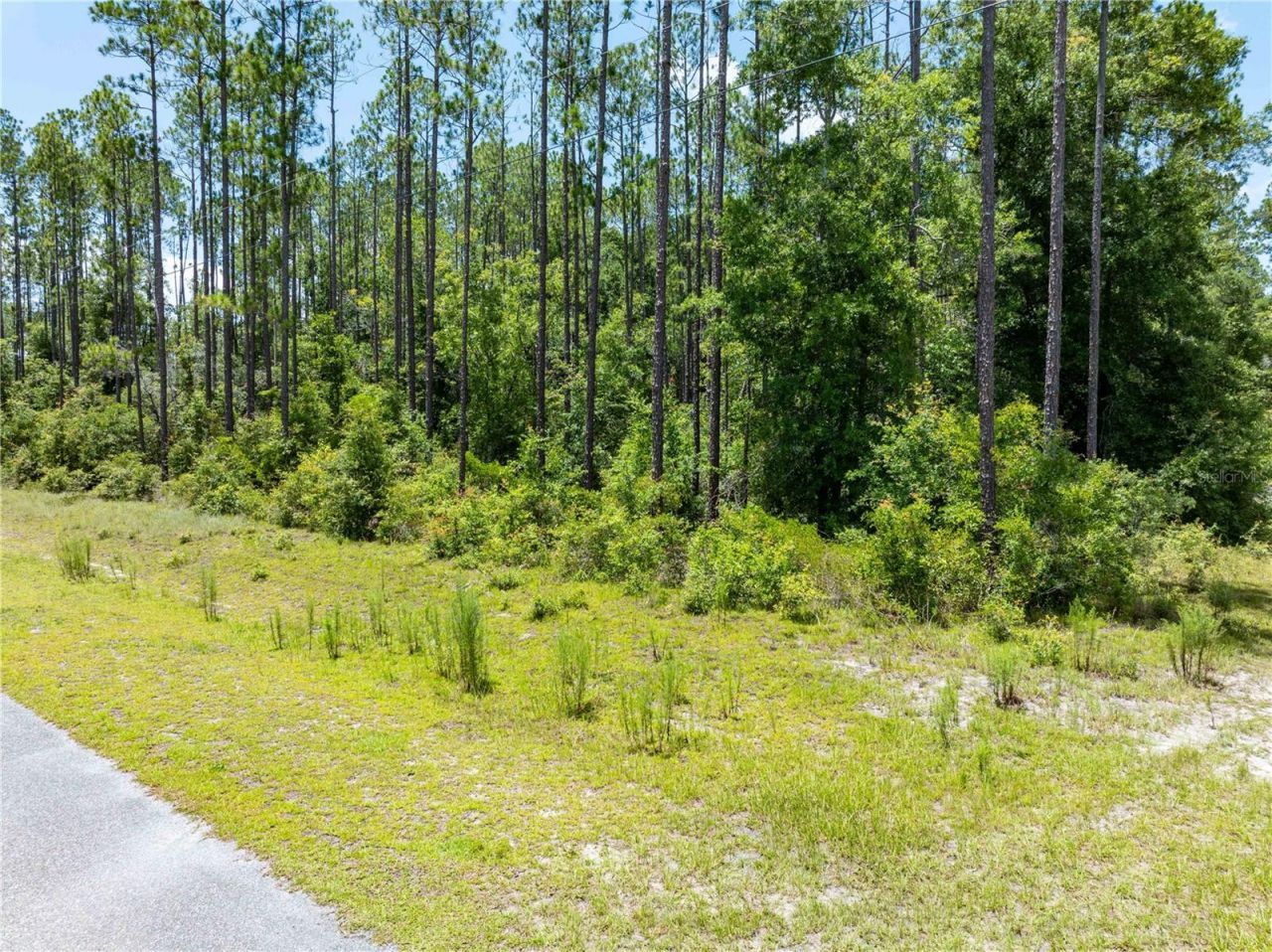 0 71st Lane, O Brien, FL 32071 Photo