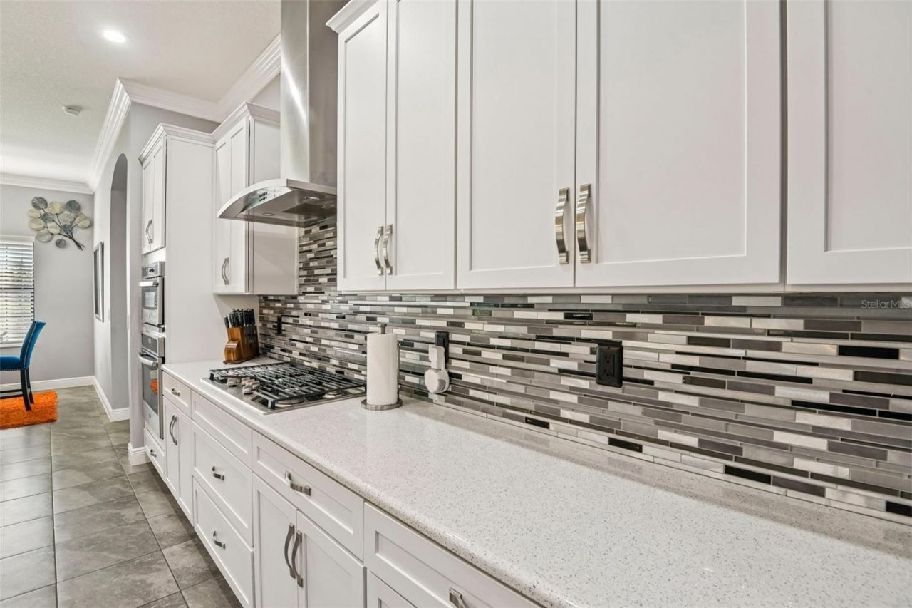 19529 Hayden Lake Court , Land O Lakes, FL 34638 Photo