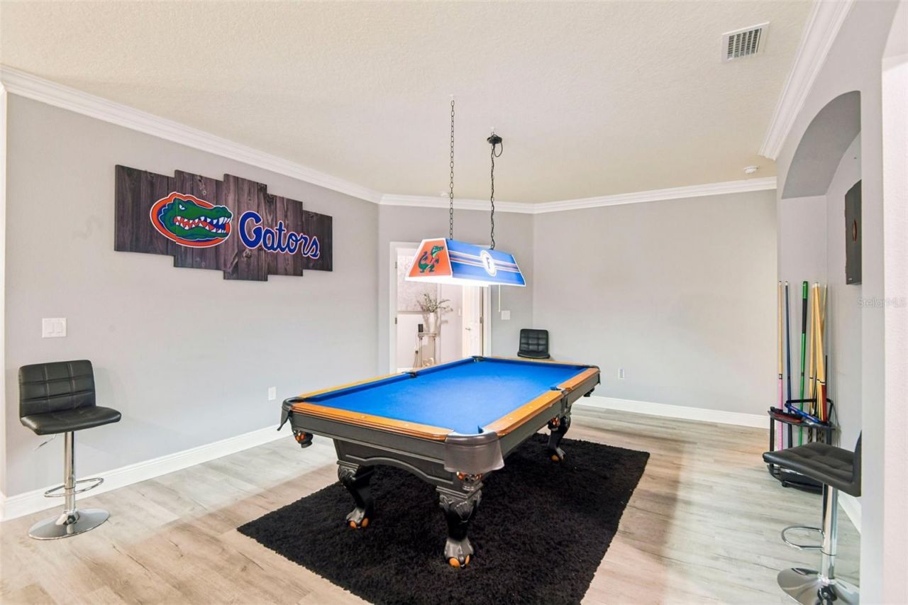 19529 Hayden Lake Court , Land O Lakes, FL 34638 Photo