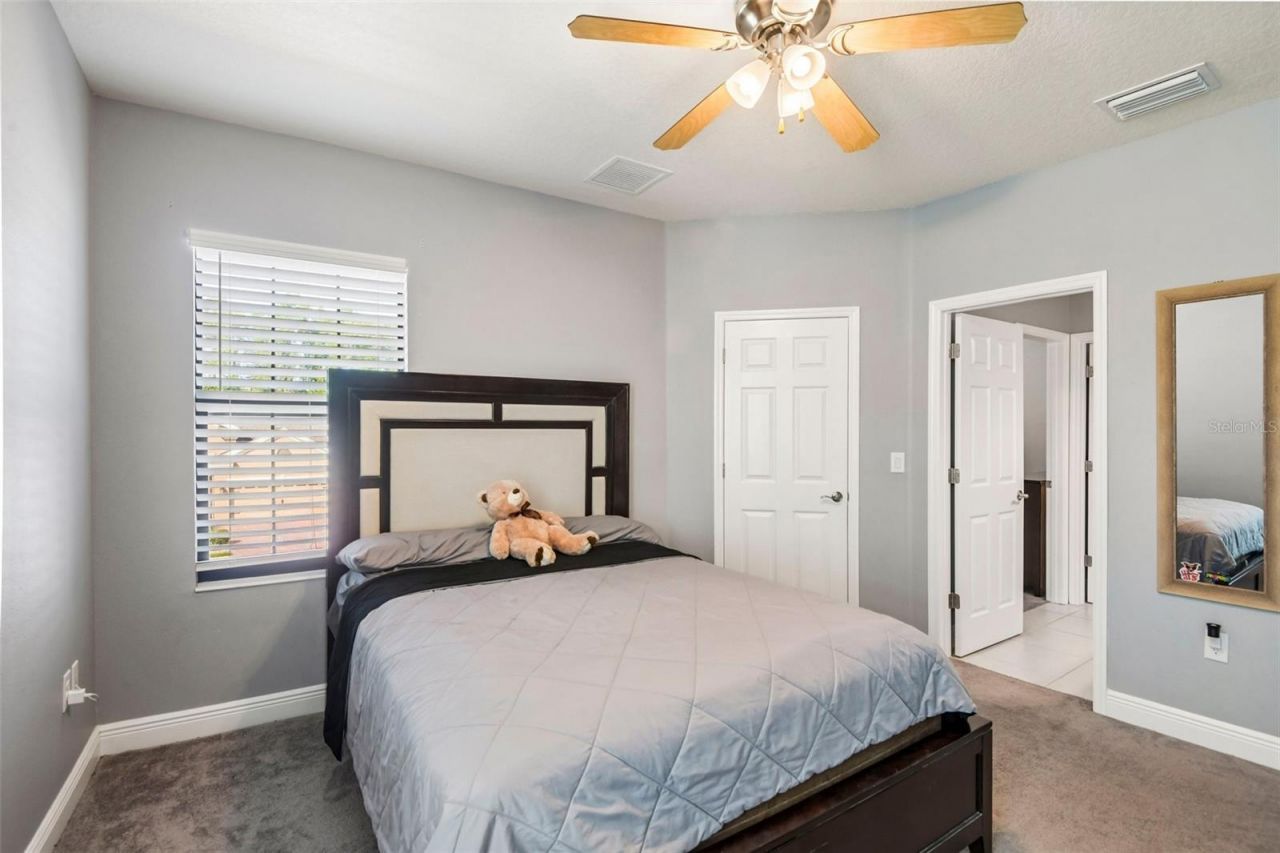 19529 Hayden Lake Court , Land O Lakes, FL 34638 Photo