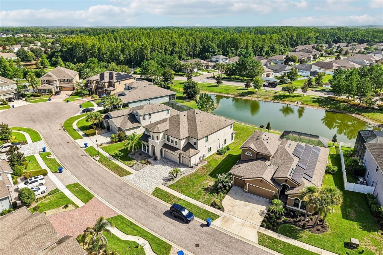 19529 Hayden Lake Court , Land O Lakes, FL 34638 Photo