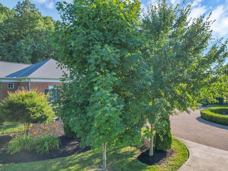 3575 State Route 37 W, Delaware, OH 43015 Photo 11