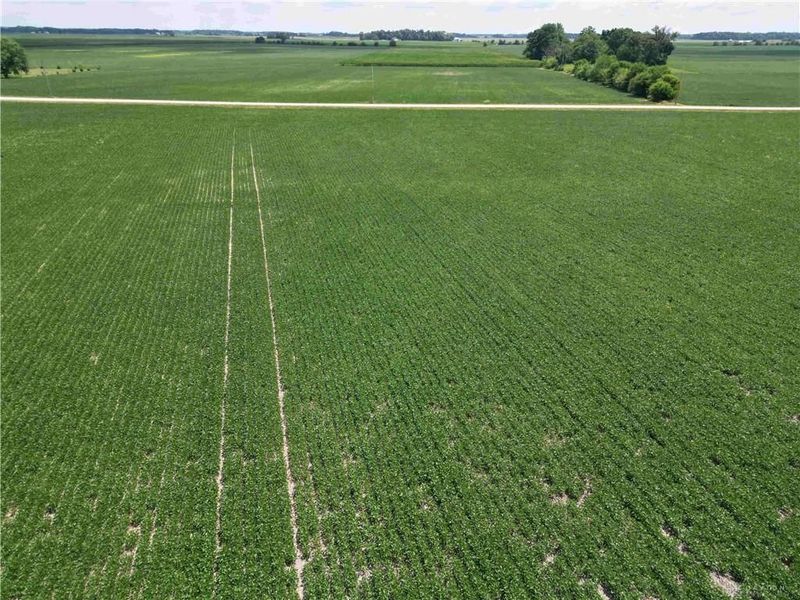 Tract 1 Paintersville-New Jasper Road, Caesarcreek Township, OH 45335 Photo 11
