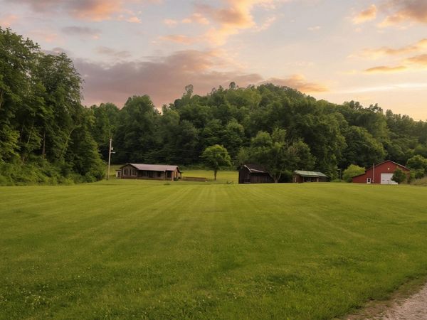 8925 Homestead Road, Lesage, WV 25537