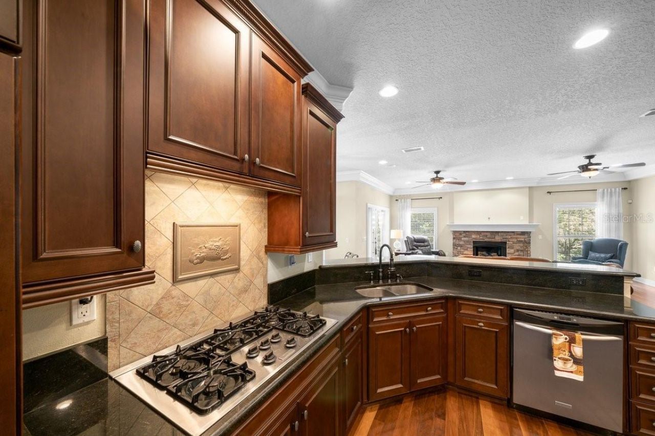1251 Magnolia Farms Court , Eustis, FL 32726 Photo