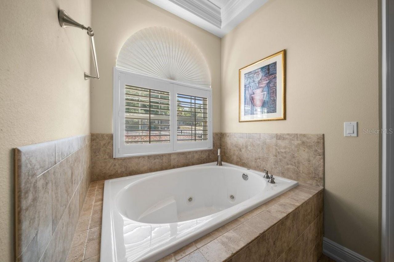 1251 Magnolia Farms Court , Eustis, FL 32726 Photo