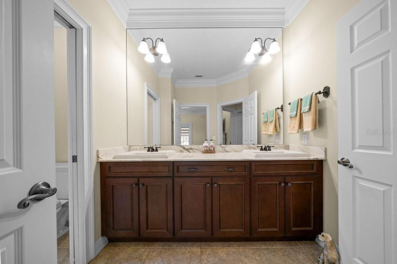 1251 Magnolia Farms Court , Eustis, FL 32726 Photo