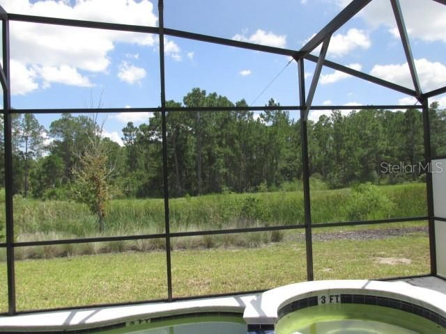 1275 Butterfly Orchid Road, Davenport, FL 33837 Photo