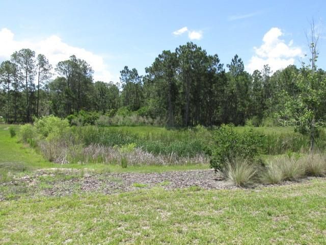 1275 Butterfly Orchid Road, Davenport, FL 33837 Photo