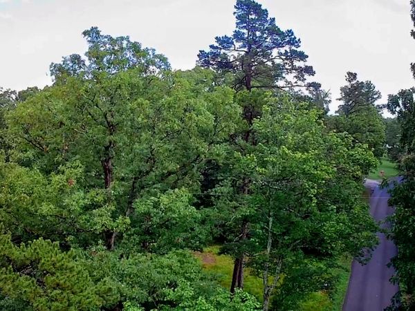 003 Patton School Road, South Pittsburg, TN 37380