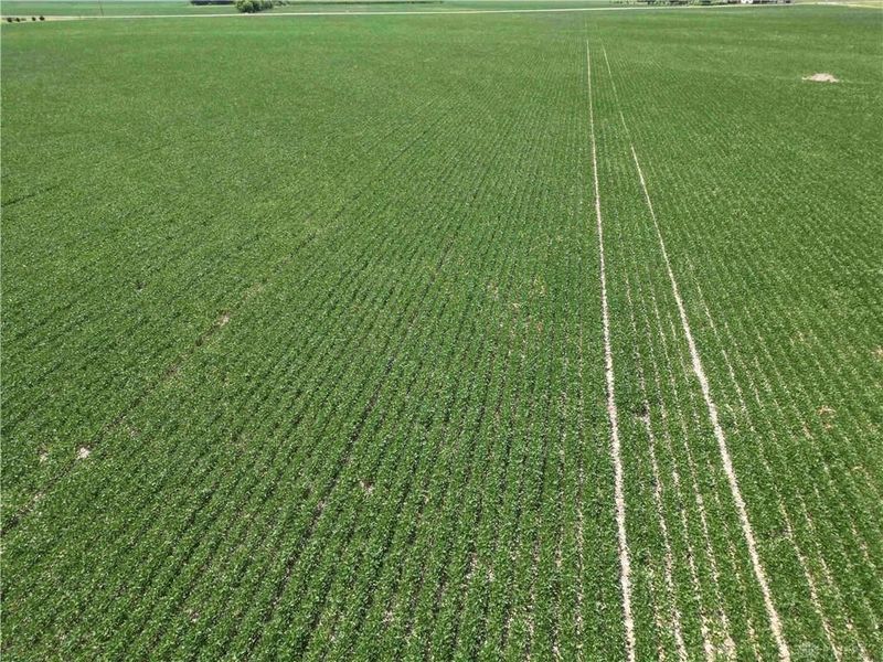Tract 2 Paintersville-New Jasper Road, Caesarcreek Township, OH 45335 Photo 12