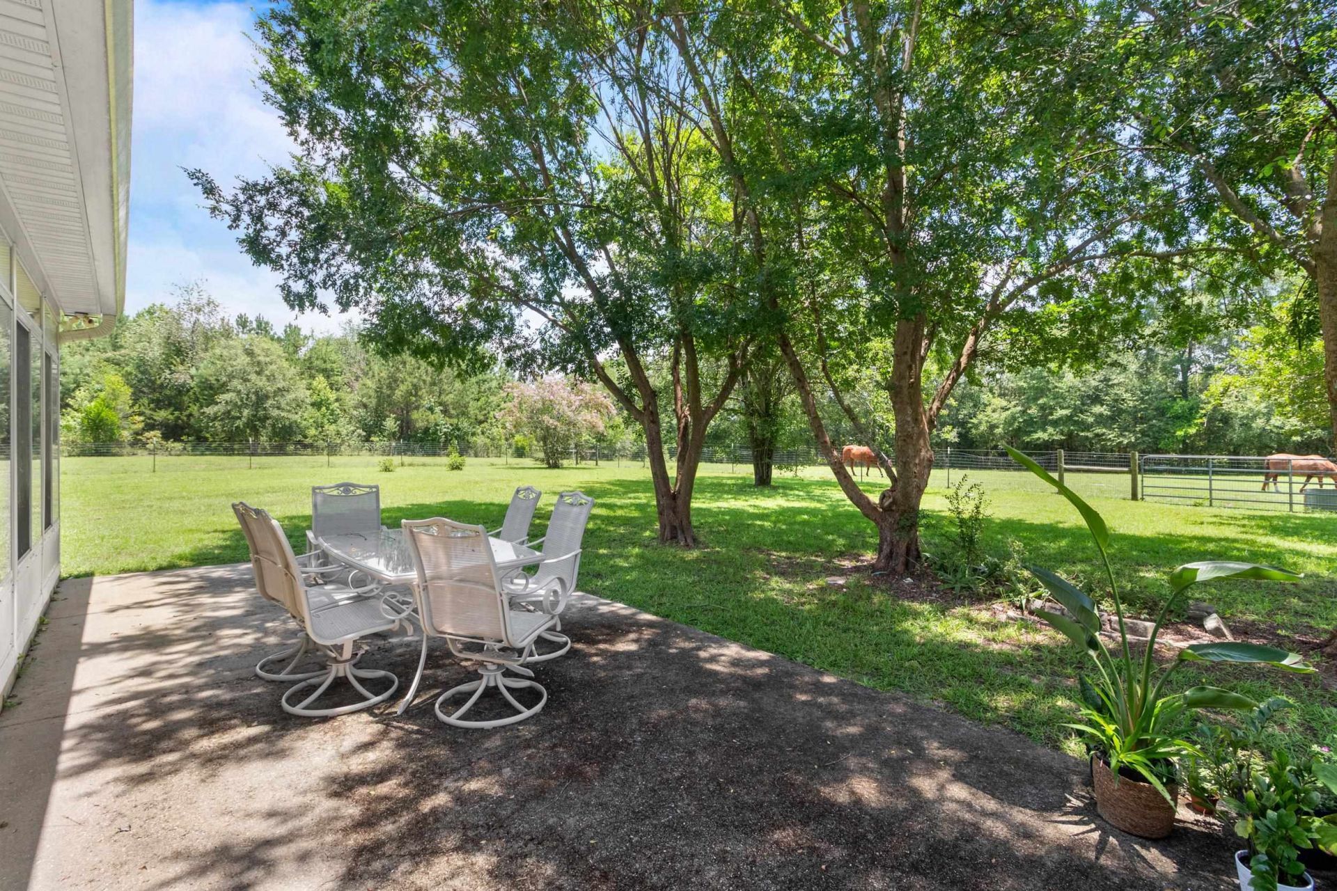 546 Backloop Road, Havana, FL 32333 Photo