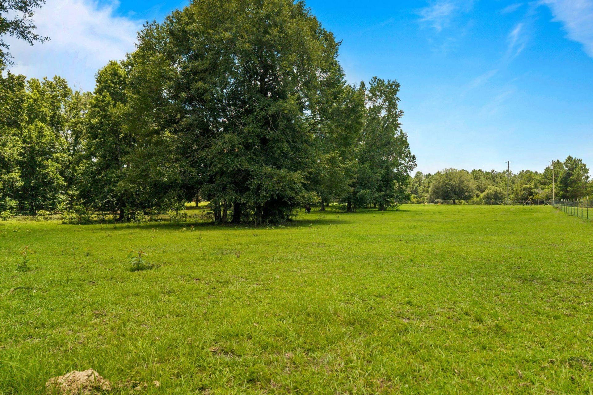 546 Backloop Road, Havana, FL 32333 Photo