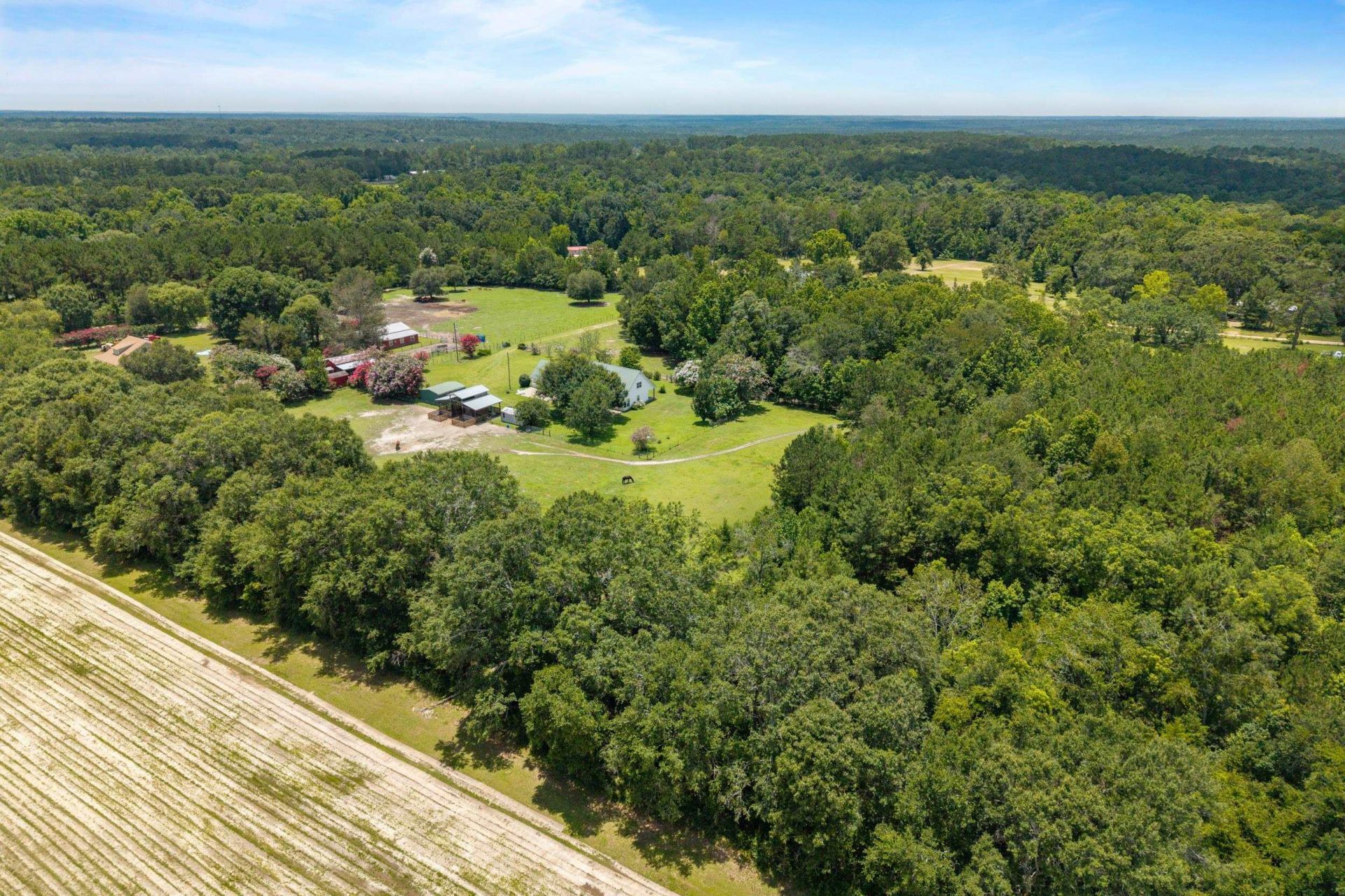 546 Backloop Road, Havana, FL 32333 Photo