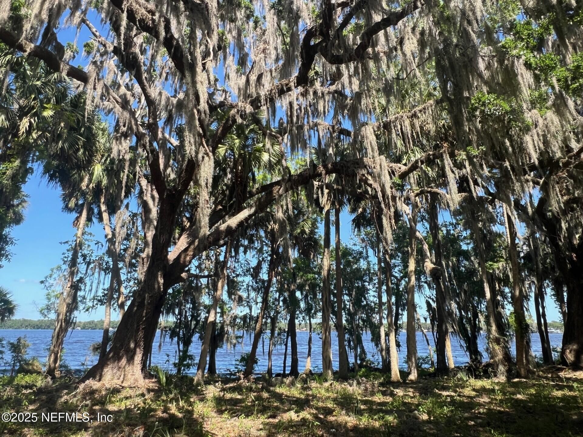 762 National Forest Road 75g Road, Palatka, FL 32177 Photo