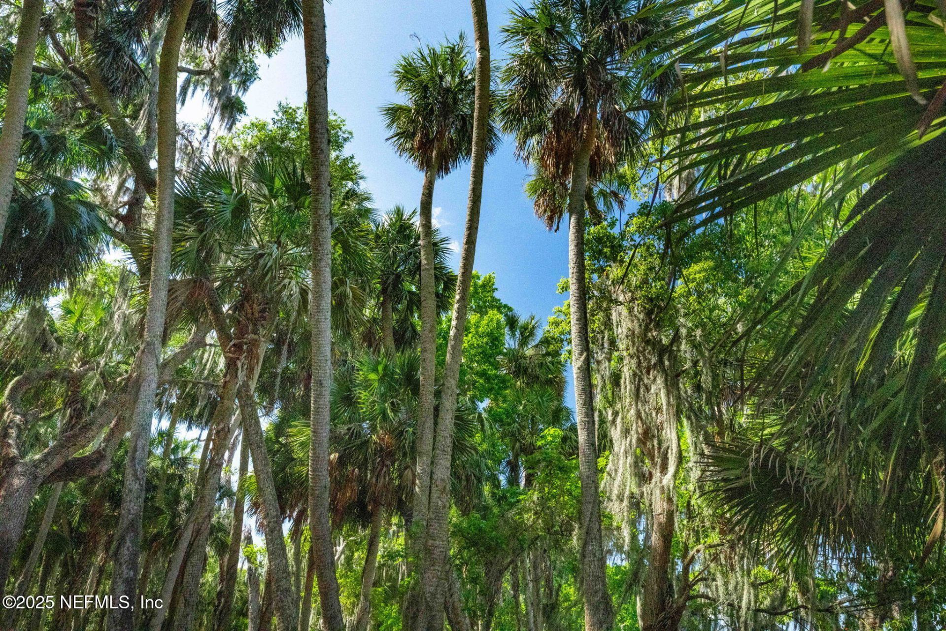 762 National Forest Road 75g Road, Palatka, FL 32177 Photo