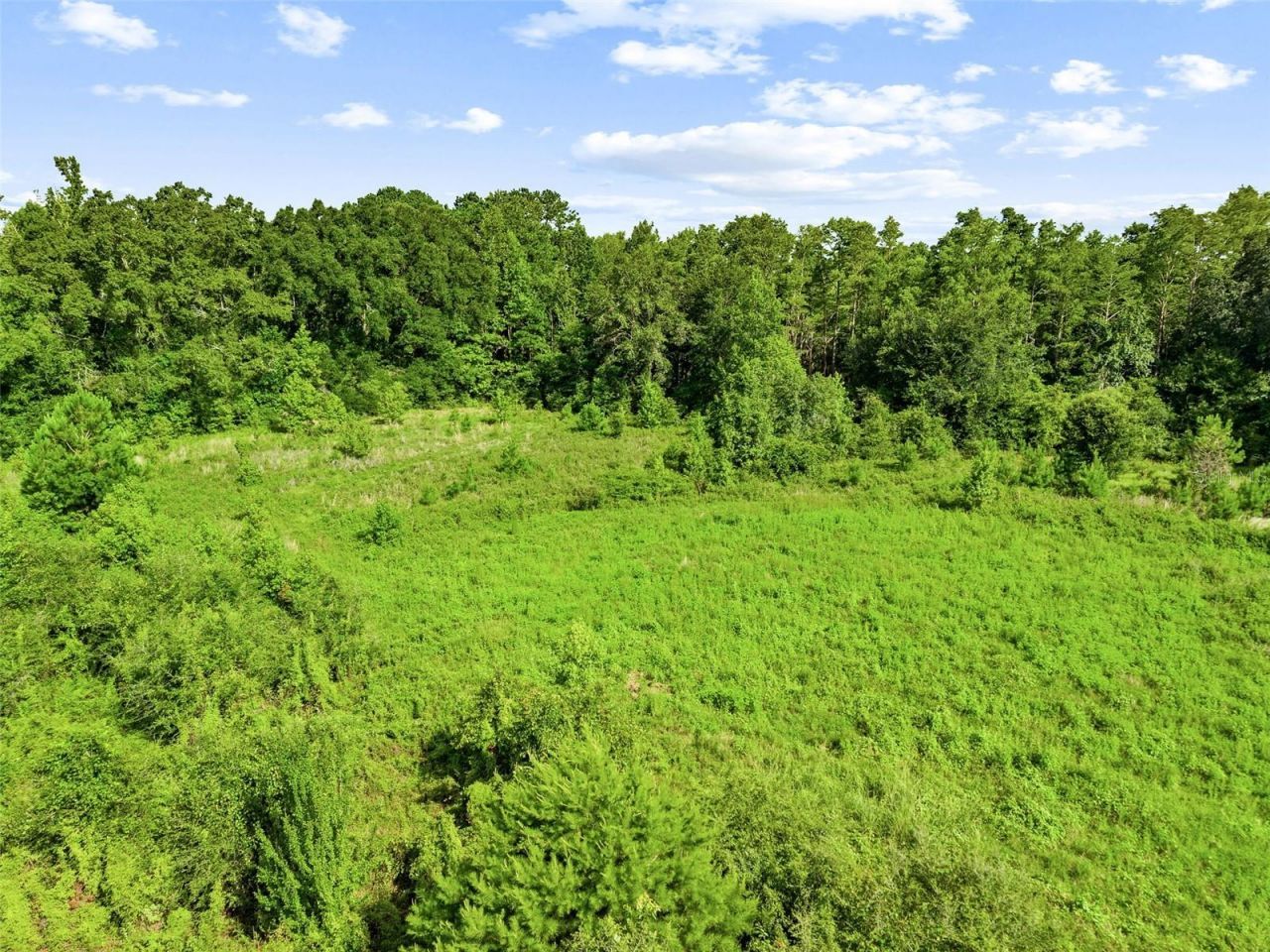 2853 R M Ward Road, Ponce de Leon, FL 32455 Photo