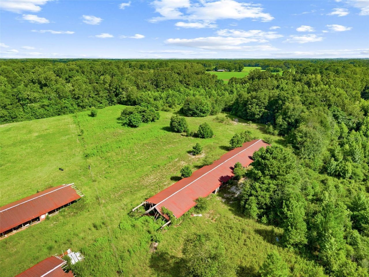 2853 R M Ward Road, Ponce de Leon, FL 32455 Photo