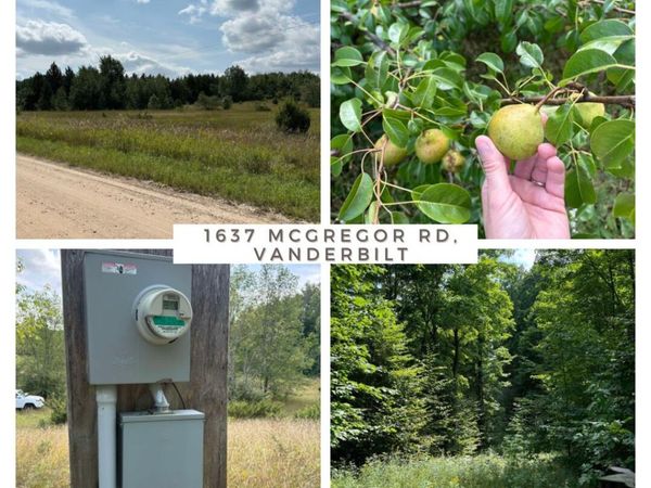 1637 McGregor Road, Vanderbilt, MI 49795