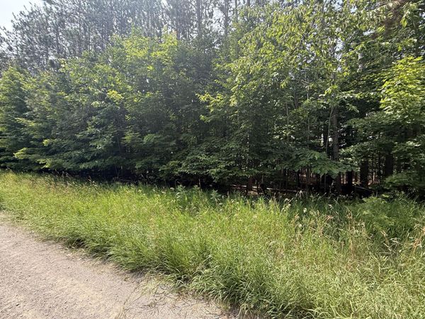 1.82 AC M-33 Highway, Cheboygan, MI 49721