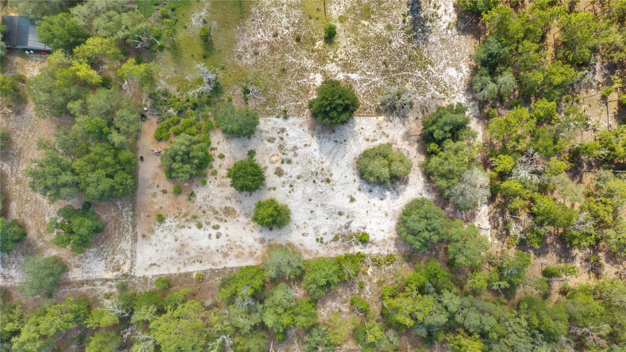 119 NE 98th Lane , Branford, FL 32008 Photo