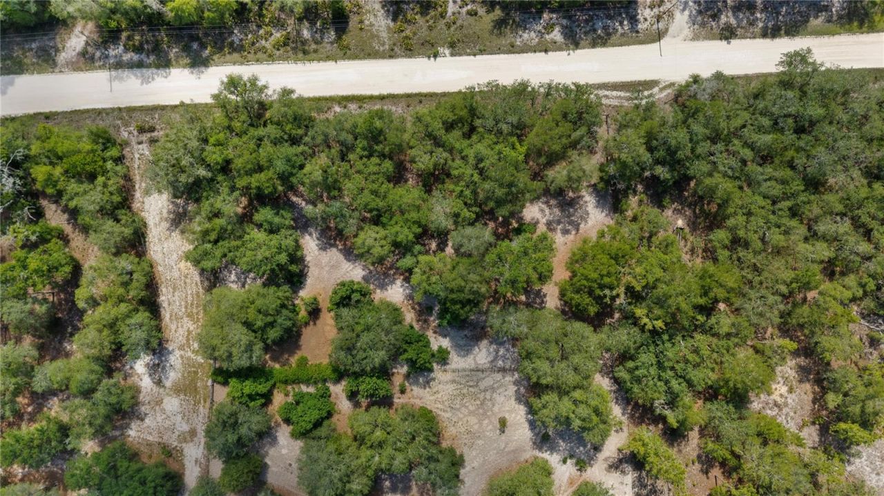 119 NE 98th Lane , Branford, FL 32008 Photo