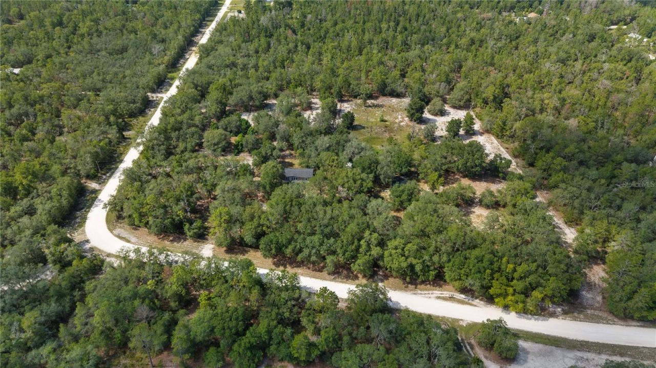 119 NE 98th Lane , Branford, FL 32008 Photo