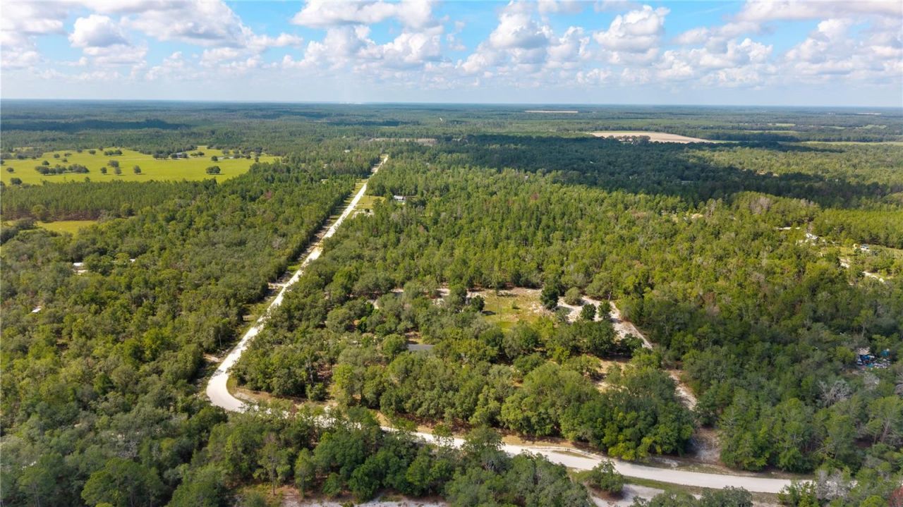 119 NE 98th Lane , Branford, FL 32008 Photo