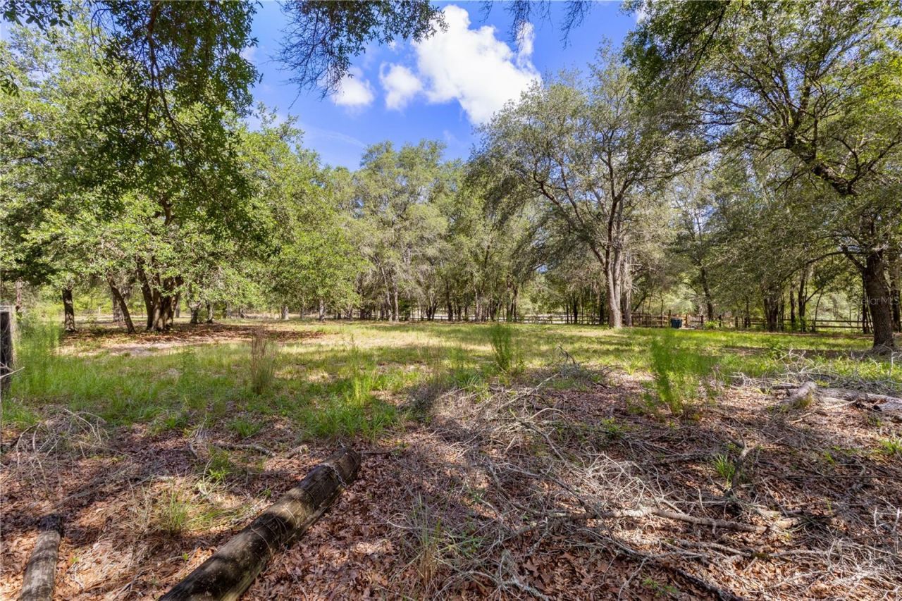 119 NE 98th Lane , Branford, FL 32008 Photo