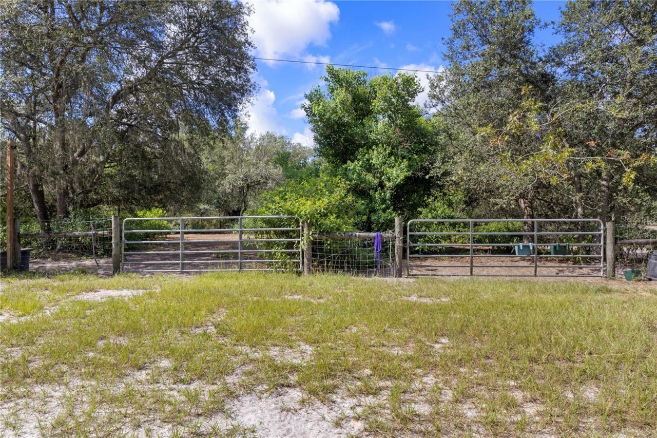 119 NE 98th Lane , Branford, FL 32008 Photo