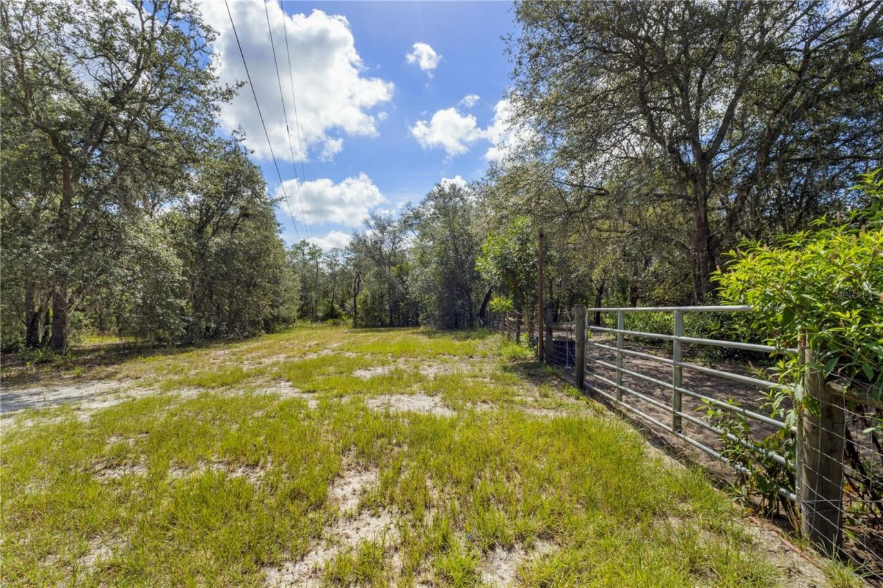 119 NE 98th Lane , Branford, FL 32008 Photo