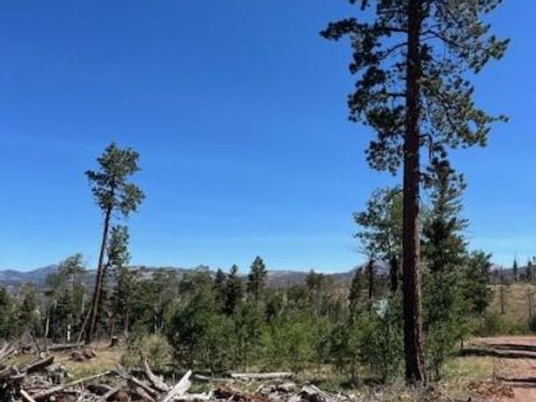 960-961 Huntington Lane , Fort Garland, CO 81133