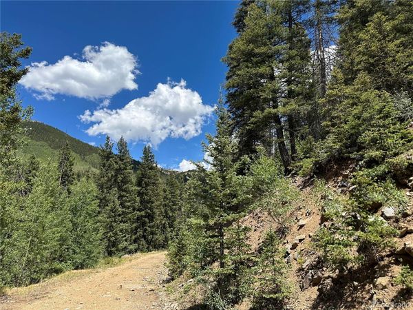 Ryland Road , Fort Garland, CO 81133