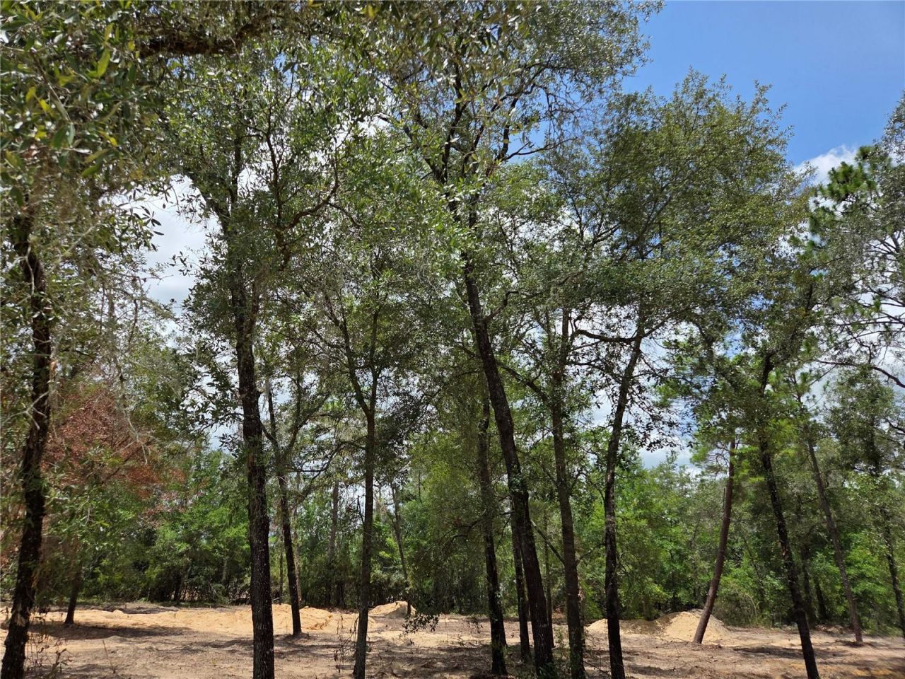 Tbd NE 122nd Avenue, Williston, FL 32696 Photo