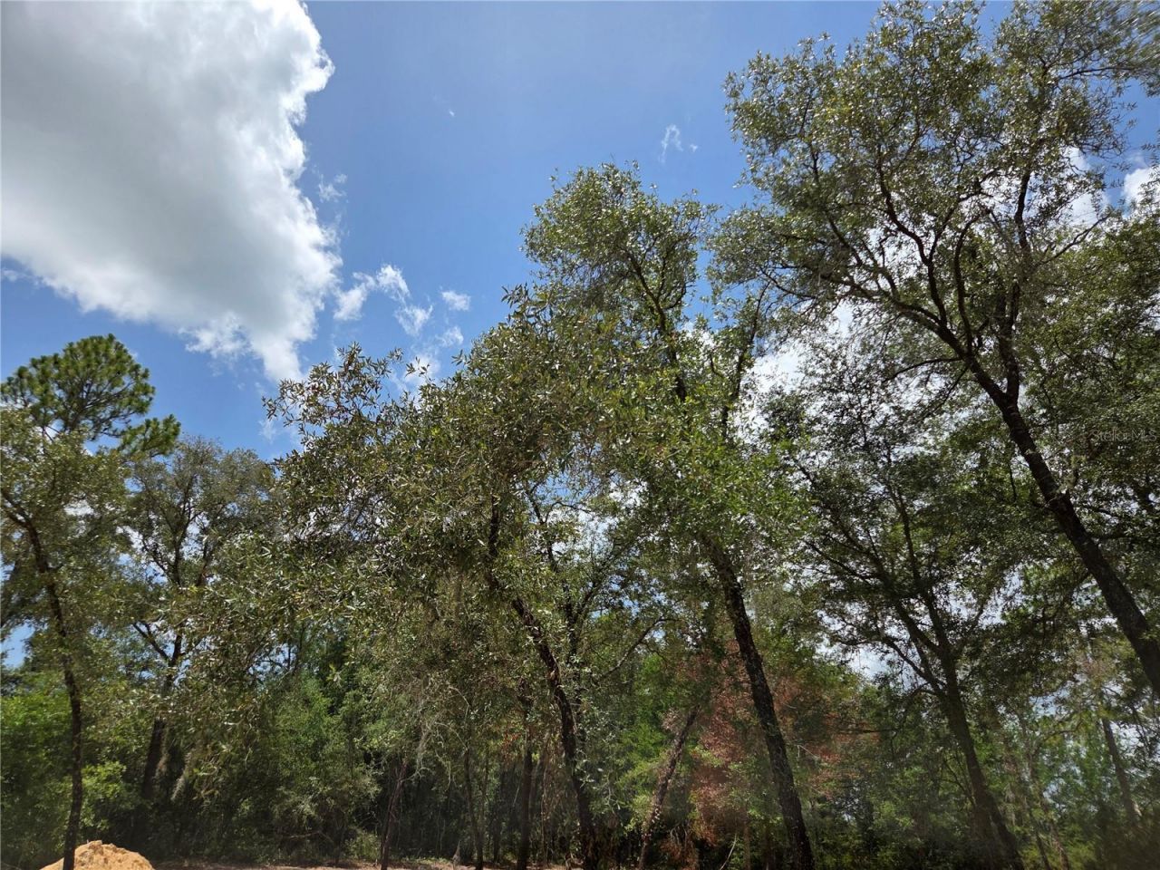Tbd NE 122nd Avenue, Williston, FL 32696 Photo