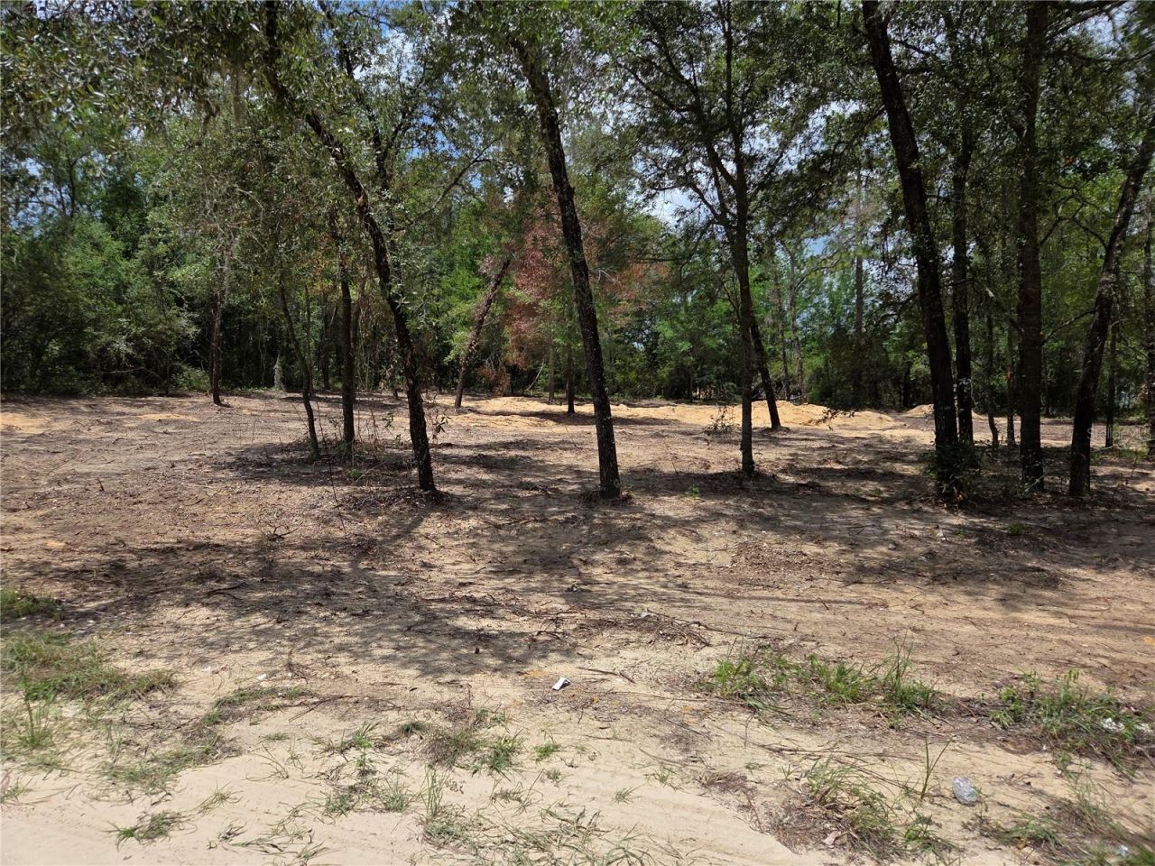 Tbd NE 122nd Avenue, Williston, FL 32696 Photo