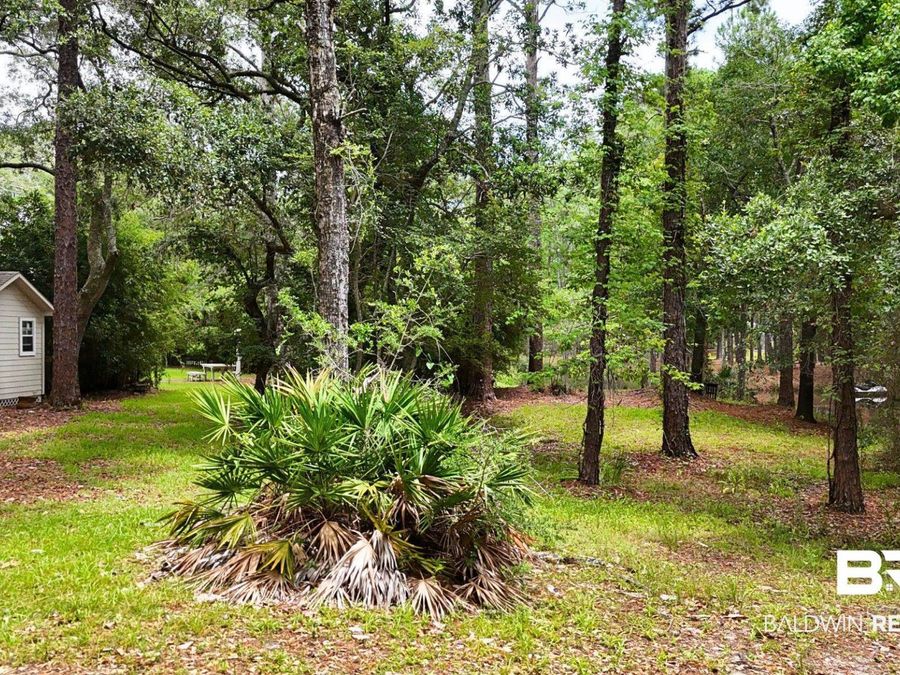 Property Image 67