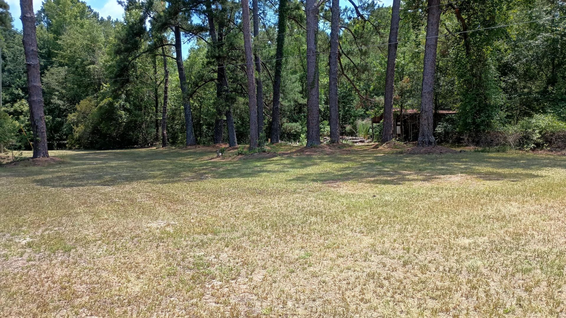 934 Bobwhite Trail Photo 18