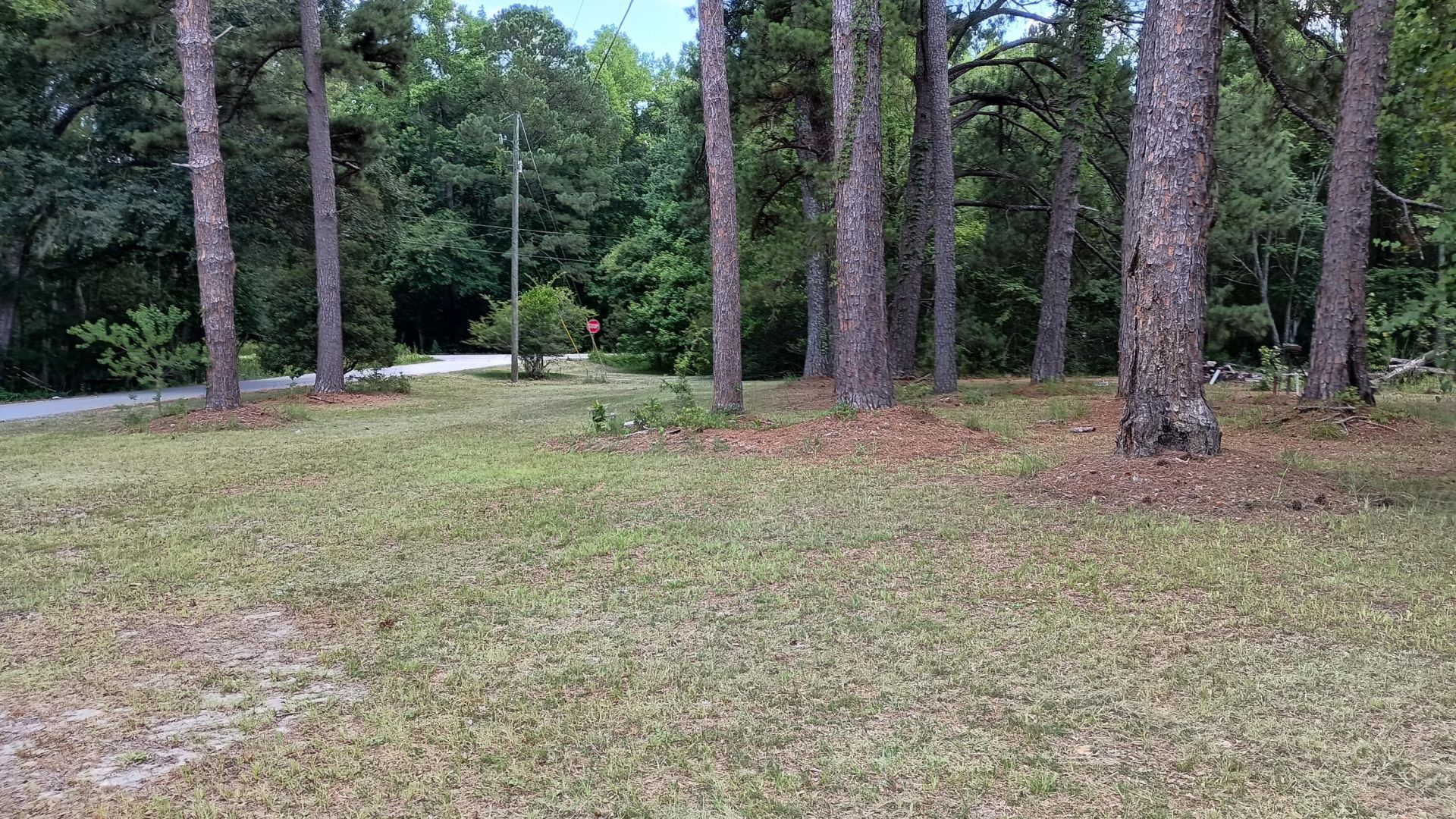 934 Bobwhite Trail Photo 20