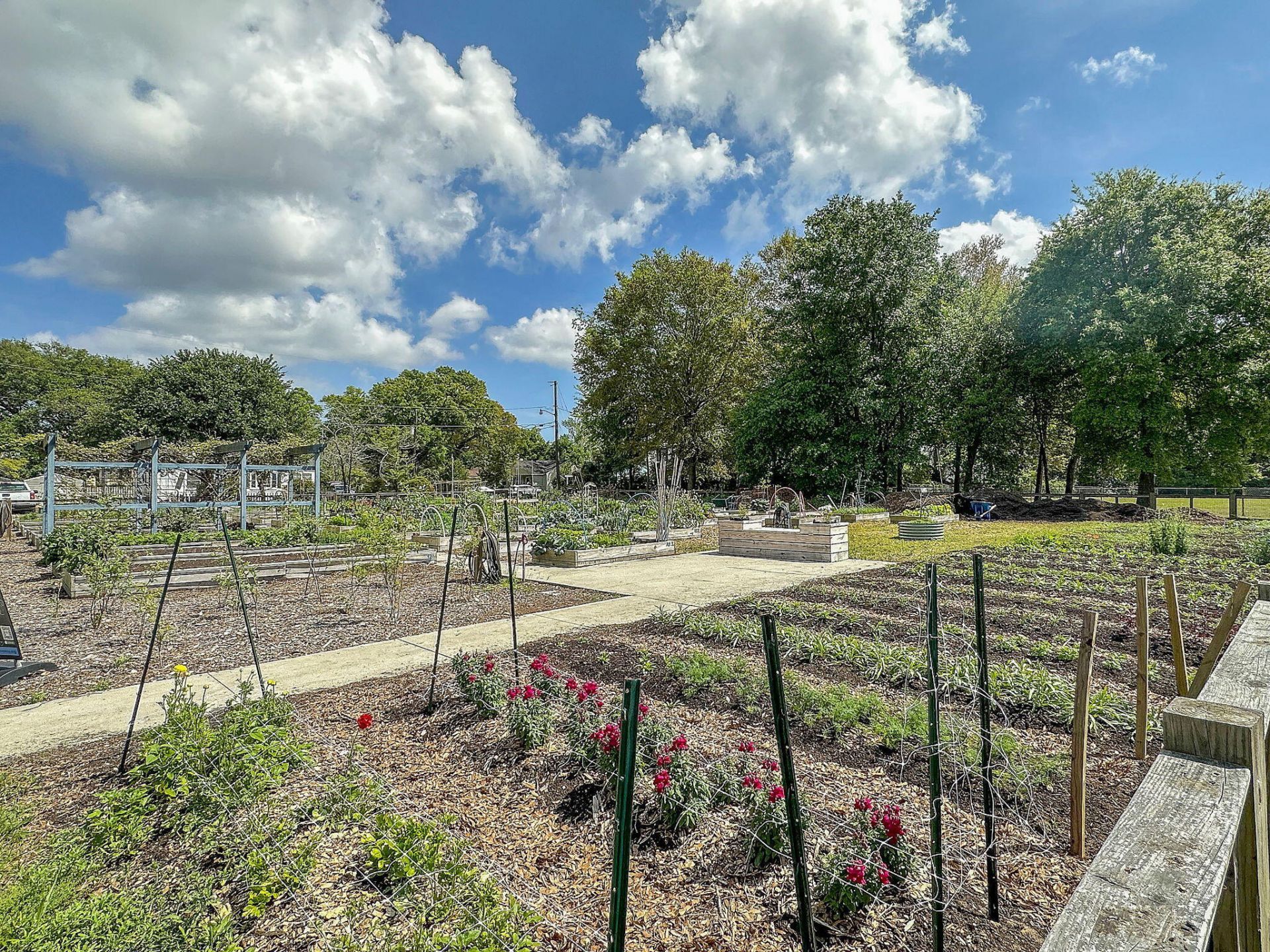 2062 Wappoo Drive Photo 47