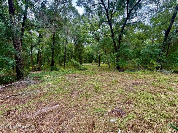 112 PEACH ORCHARD Road, Pomona Park, FL 32181