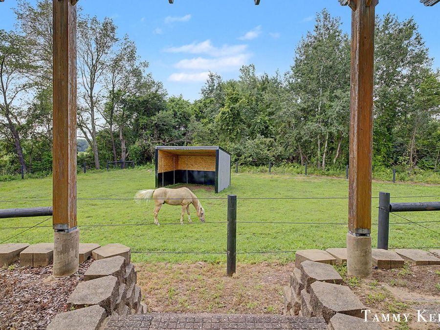 Property Image 53